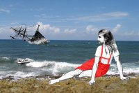 digital print by Sandra Ramos